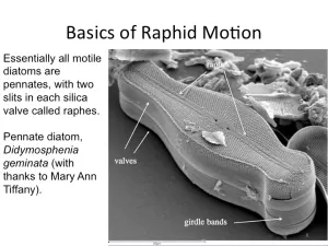 Slide08