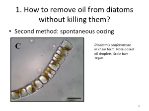 Slide16