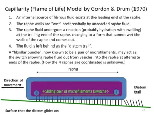 Slide24