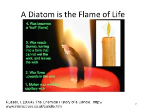 Slide25