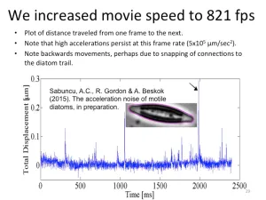 Slide29