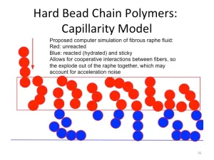 Slide36