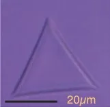 Denkov&2015 Fig2b triangle.jpg