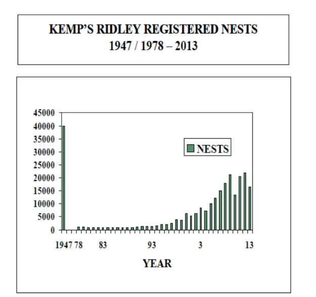 kemps-nest